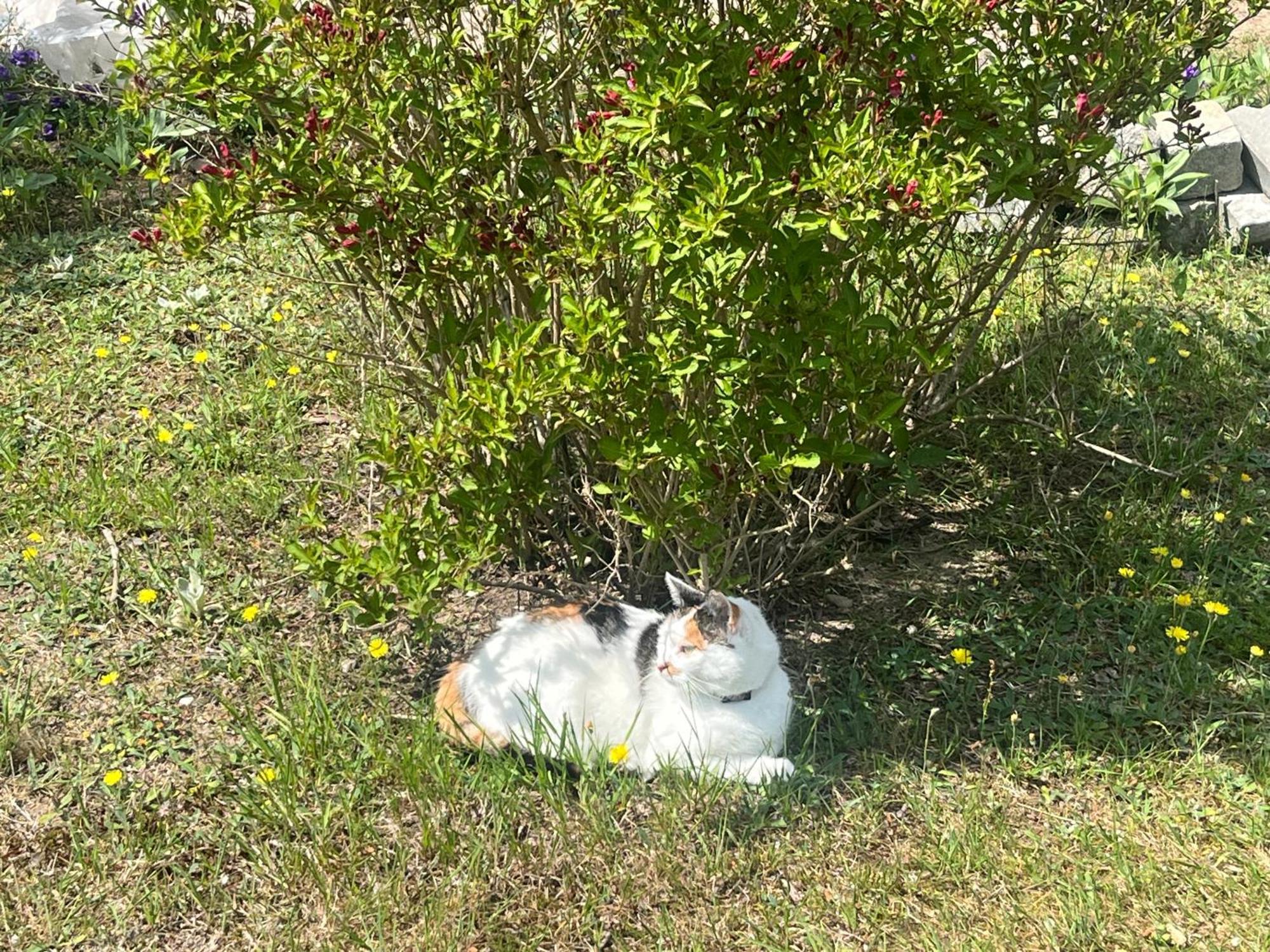 Domek Stas Wiele Dış mekan fotoğraf